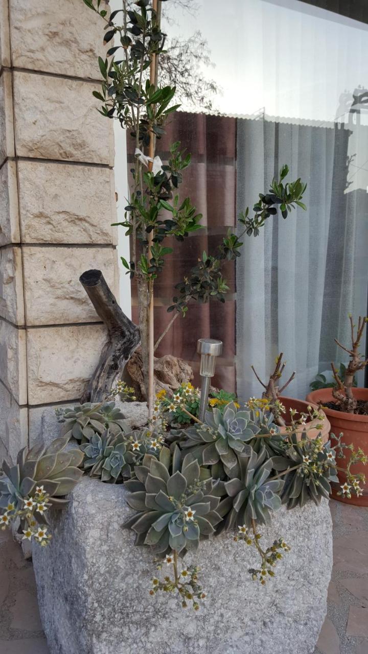 Apartmani Antunovic Podgora Buitenkant foto